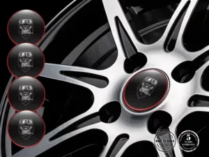 Adesivi Cerchio Custom Design Cupola Alta Gamma Sport